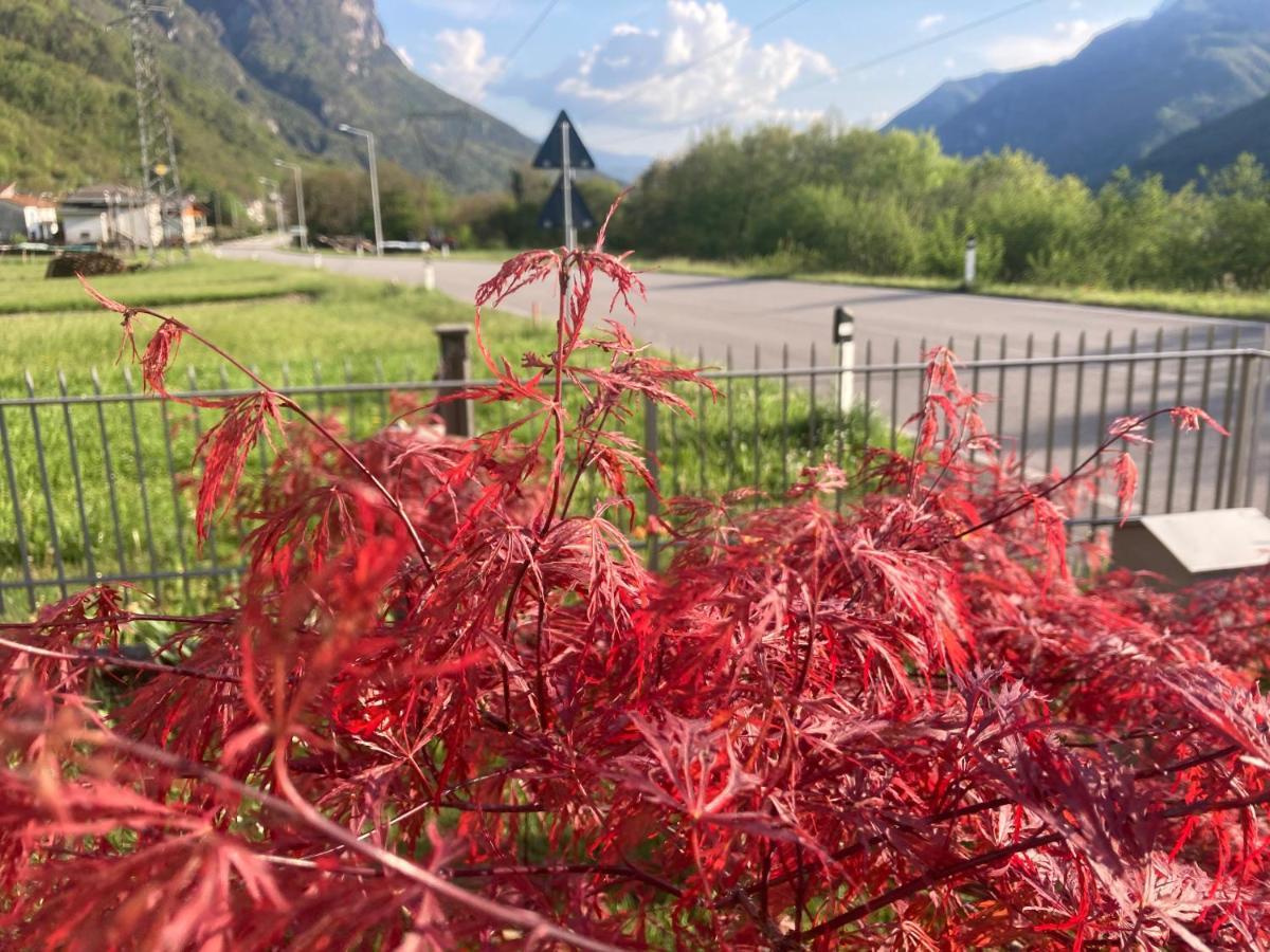 Meraki Dolomiti Longarone Exteriér fotografie